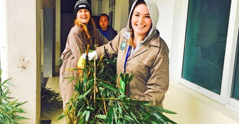 Panda Volunteer Project Day Trip(Wolong/Du Jiang Yan) - FAQ