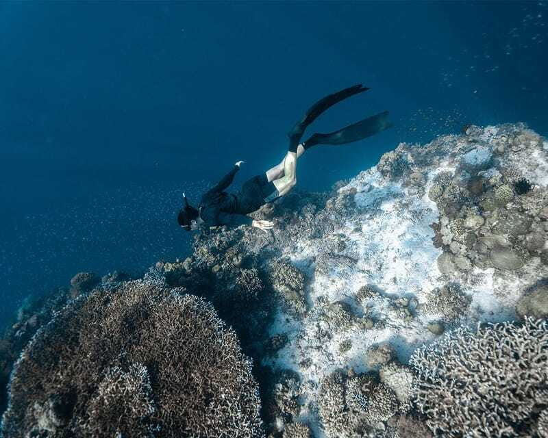 Panglao Bohol: Balicasag Island Hopping & Dolphin Watching - FAQ