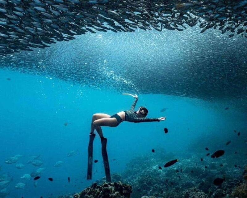 Panglao: Napaling Reef and Sardines Freediving Experience - Final Thoughts