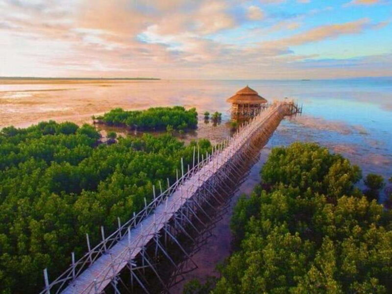 Panglao: Private Cave Pool, Beach & Scenic Day Tour - Key Points