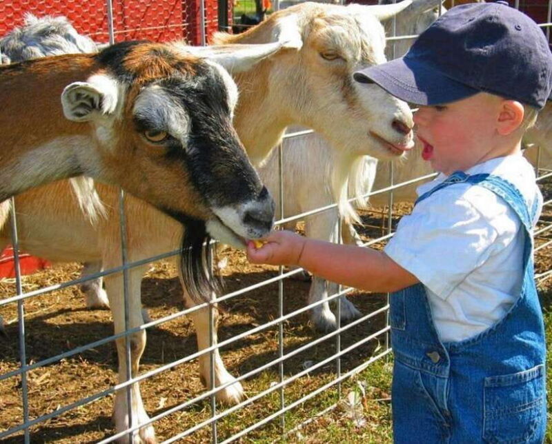 Panglao: Private Cave Pool, Beach & Scenic Day Tour - What the Reviews Say