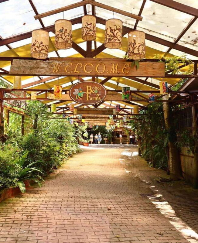 Panglao: Private Cave Pool, Beach & Scenic Day Tour - Who Will Love This Tour?