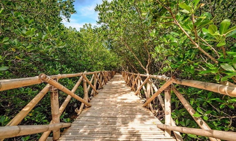 Panglao: Private Cave Pool, Beach & Scenic Day Tour - The Sum Up