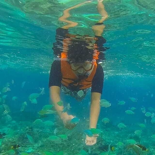 Panglao:Balicasag Island Tour with Turtle & Dolphin Watching - Detailed Review of the Panglao: Balicasag Island Tour