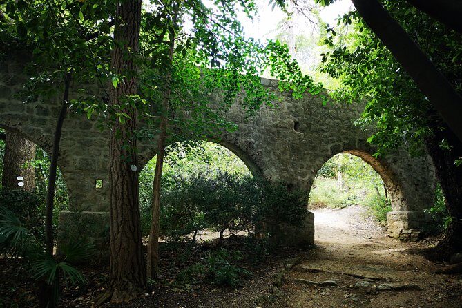 Panorama Dubrovnik & Arboretum Trsteno PRIVATE TOUR - The Sum Up: Who Is This Tour Best For?
