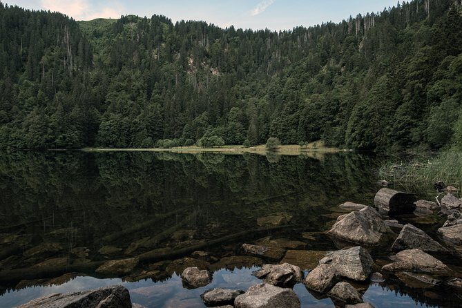 Panorama Hike through the Black Forest guided by a Local - Panorama Hike through the Black Forest guided by a Local: An Authentic Experience in Baden-Württemberg