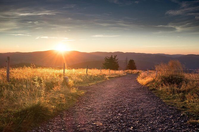 Panorama Hike through the Black Forest guided by a Local - Key Points