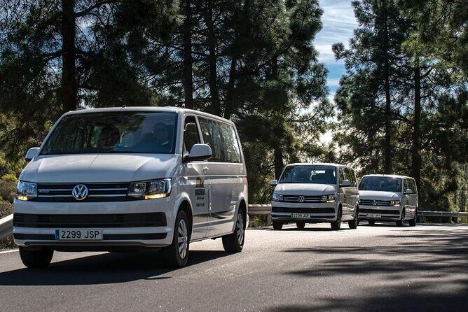 Panorama VIP Tour in Gran Canaria - The High Point: Tejeda
