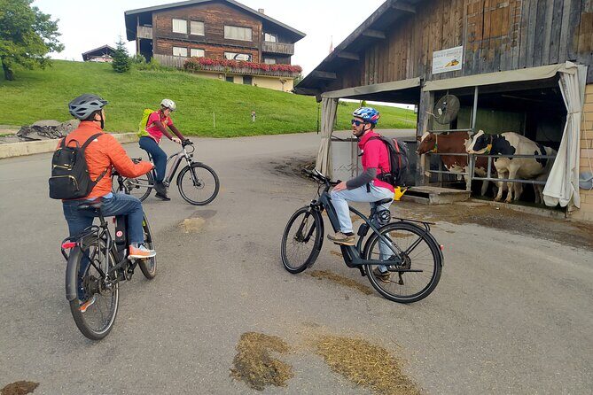 Panoramic E-Bike Tour with a Lake Cruise - Practical Details and Tips