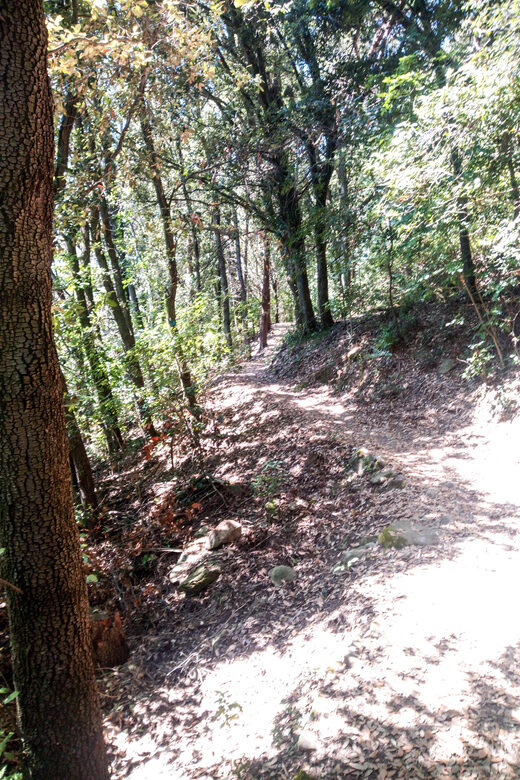 Panoramic hiking in the Florentine hills with Vincenzo - FAQ