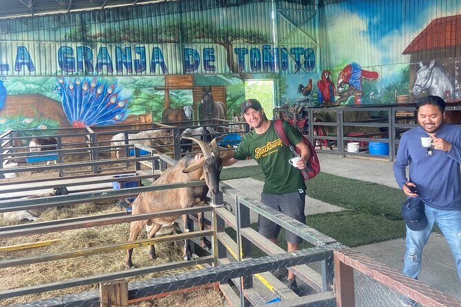 Panoramic horseback riding in the mountains - Key Points