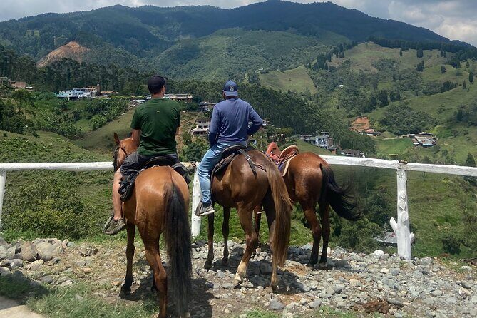 Panoramic horseback riding in the mountains - Considerations and Potential Drawbacks