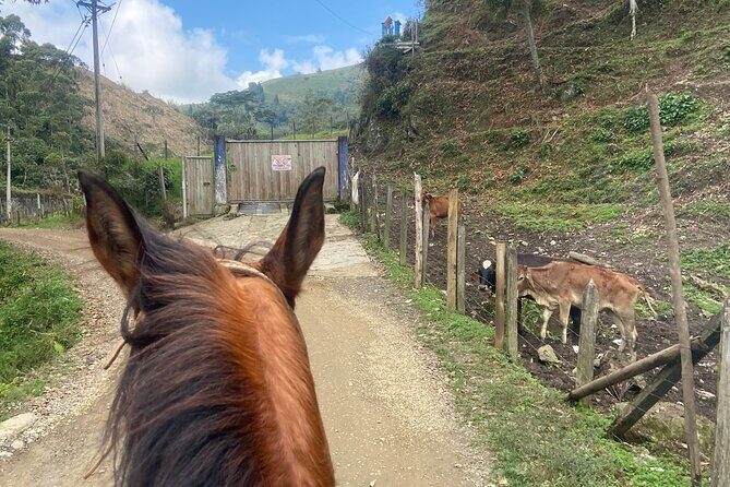 Panoramic horseback riding in the mountains - Who Would Enjoy This Tour?