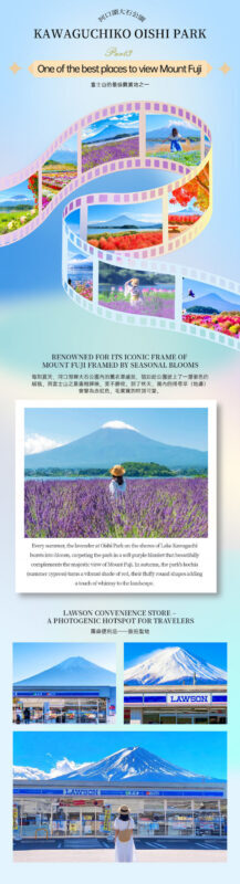 Panoramic Mt. Fuji Tour - Kachikachi Ropeway, Matcha Experience, Oshino Hakkai and Oishi Park Day Trip (Departure from Tokyo/Shinjuku) - Lunch: quick, optional and worth planning for