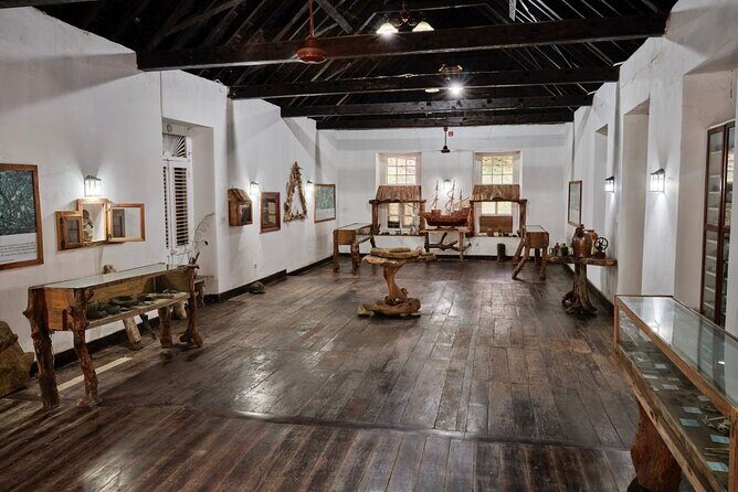 Panoramic Ocho Rios Heritage, Rafting and Swim Experience - A Deep Dive into the Experience