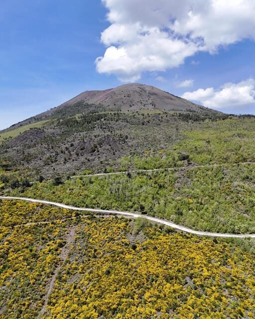 Panoramic path of Strada Matrone-Vesuvio - The Sum Up: Who Is This Tour Best For?