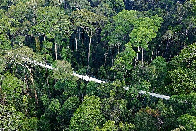 Panoramic Penang Hill & The Habitat Nature Discovery - Key Points