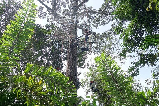 Panoramic Penang Hill & The Habitat Nature Discovery - A Thorough Look at the Tour Experience