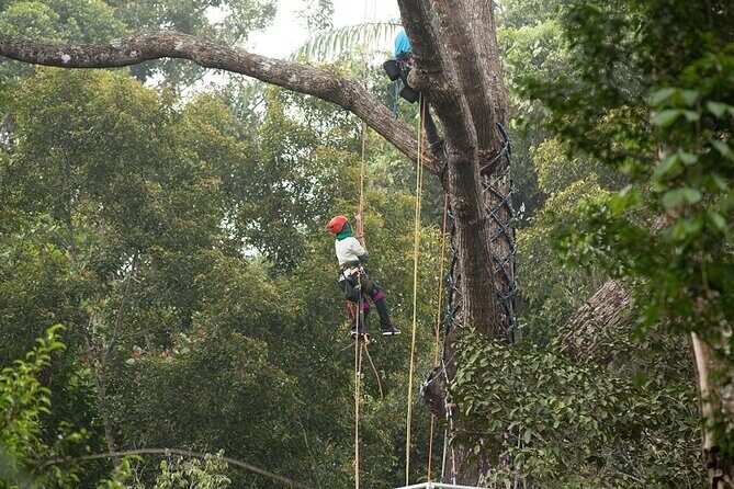 Panoramic Penang Hill & The Habitat Nature Discovery - Final Thoughts
