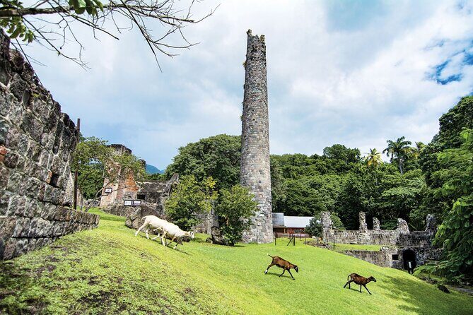 Panoramic Plus - Who Should Consider This Tour?