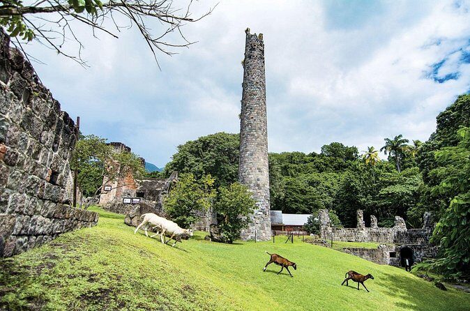 Panoramic Plus - A Deep Dive: What Makes the Tour Special?