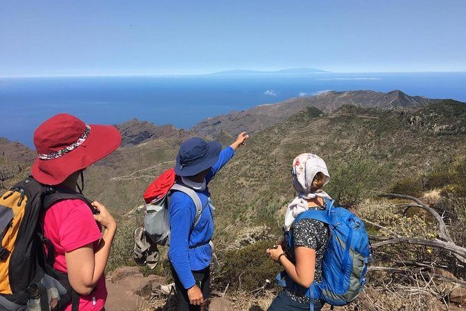Panoramic route across the Teno rural Park in Tenerife - Panoramic Route Across Teno Rural Park in Tenerife: A Deep Dive Into Nature and Culture
