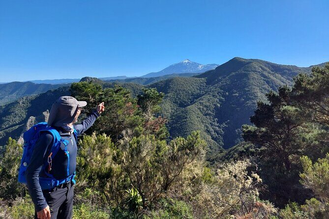 Panoramic route across the Teno rural Park in Tenerife - Who Will Love This Tour?