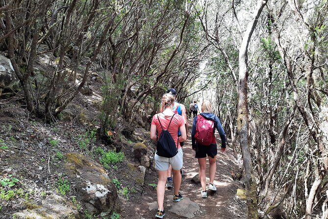 Panoramic route across the Teno rural Park in Tenerife - FAQ