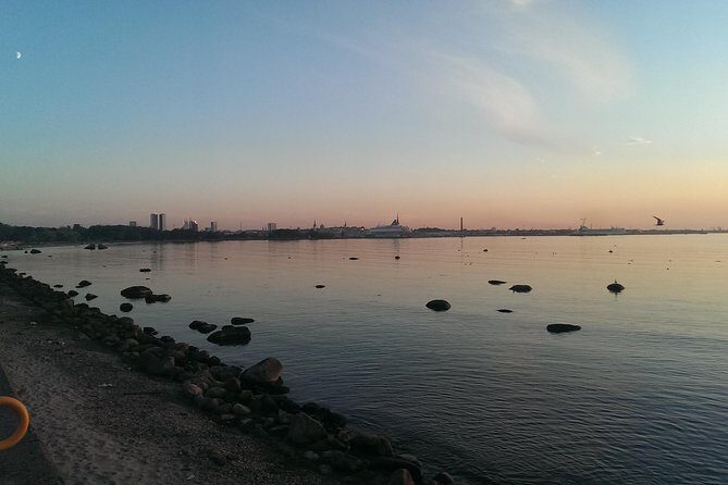 Panoramic tour over Tallinn by car - Why This Tour Works for Travelers