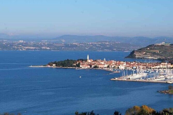 Panoramic Tour to Piran with Sweet Surprise - Wrapping Up