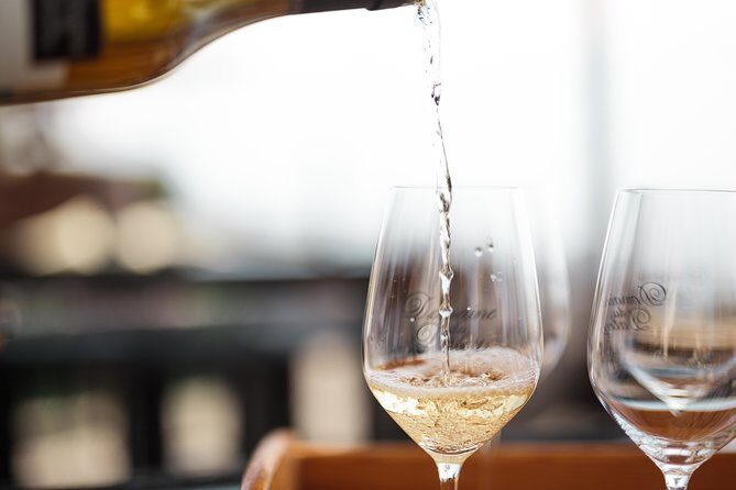 Panoramic Wine Tour From Lausanne - Key Points