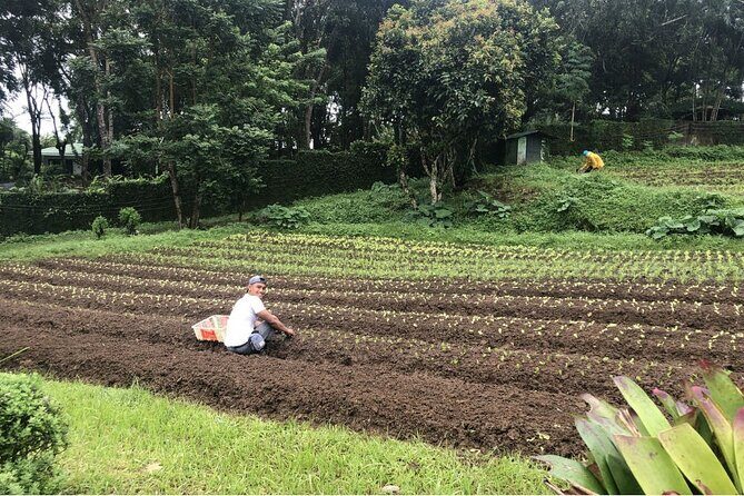 PanoramicTagaytay Ridge Tour from Manila - Authentic Experiences Highlighted by Travelers