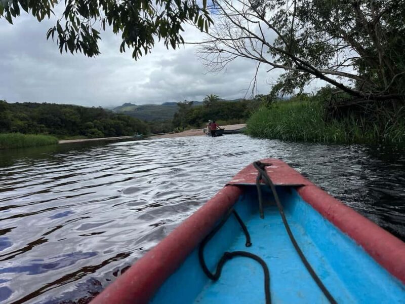 Pantanal Marimbus: Canoa + Horseback + Hike - Key Points