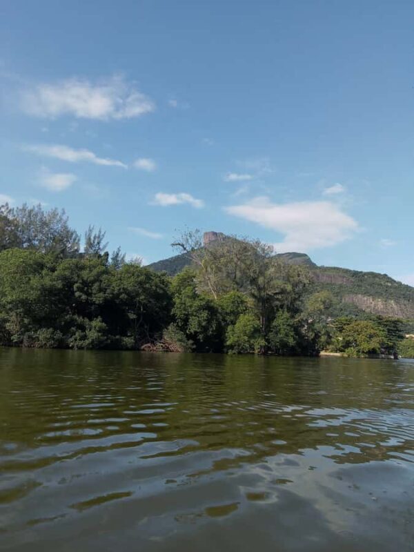 Pantanal of Rio de Janeiro - An In-Depth Look at the Pantanal of Rio de Janeiro Tour