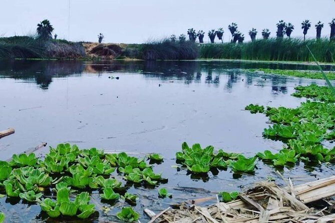 Pantanos de Villa Wildlife Refuge Tour in Lima - Final Thoughts