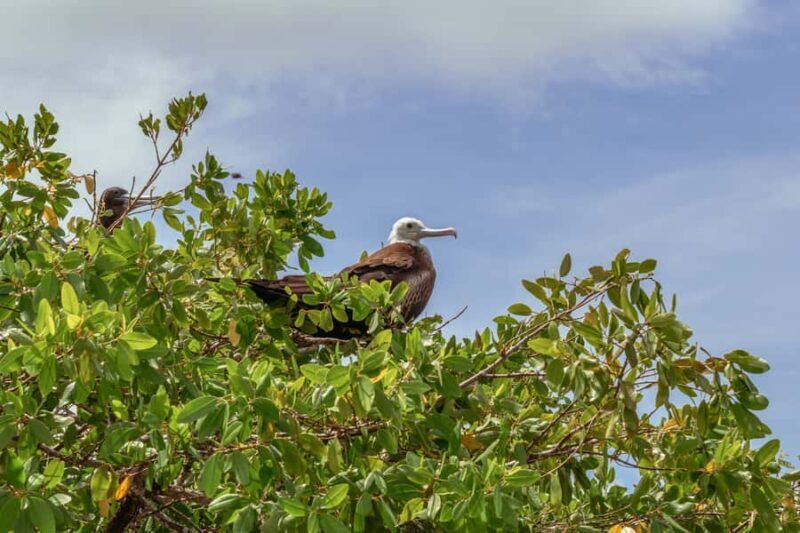 PAO PAO BEACH CLUB - Key Points