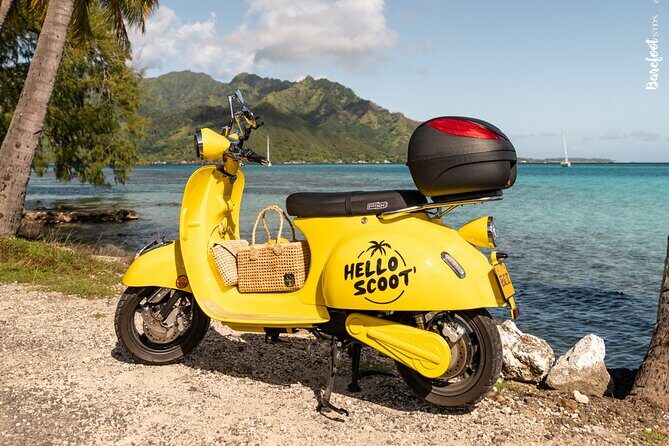 Papeete Food & City Tour - Practicalities and Tips