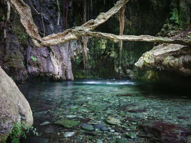 Paphos: Akamas, Baths of Aphrodite and Blue Lagoon Day Tour - What’s Included and What’s Not