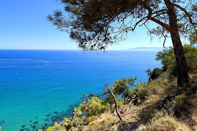 Paphos: Akamas Gorge & Turtle Bay & Donkey Farm Jeep Safari Tour - The Sum Up: Is This Tour for You?