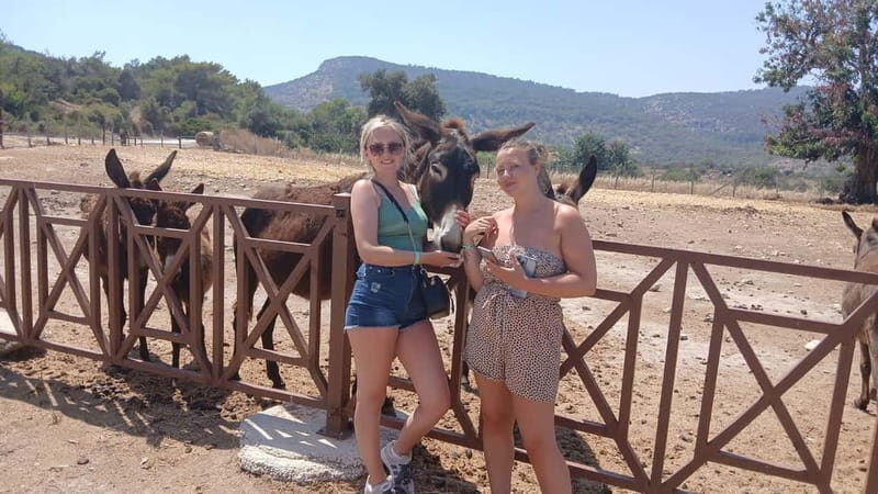 Paphos: Avakas Gorge & Turtle Bay Jeep Tour with Donkey Farm - The Sum Up
