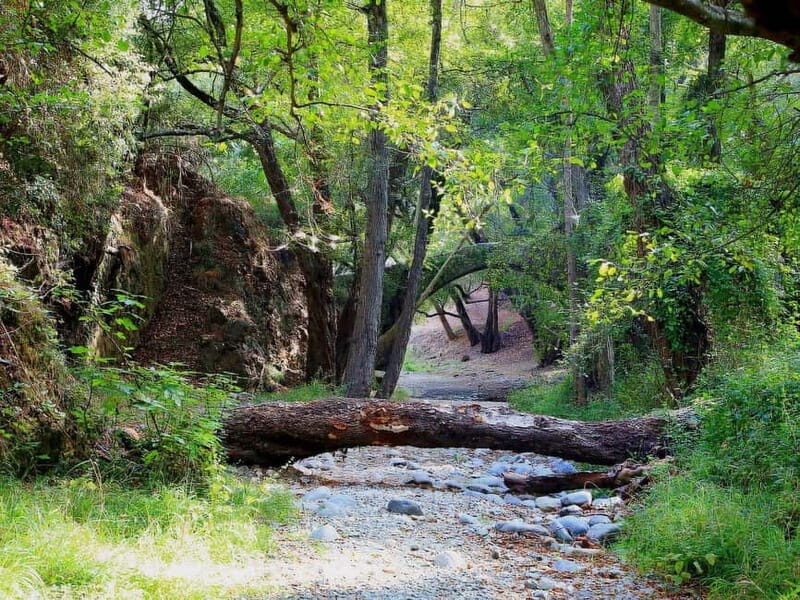 Paphos: Beauty, Nature and Charm of Troodos Mountains - Key Points