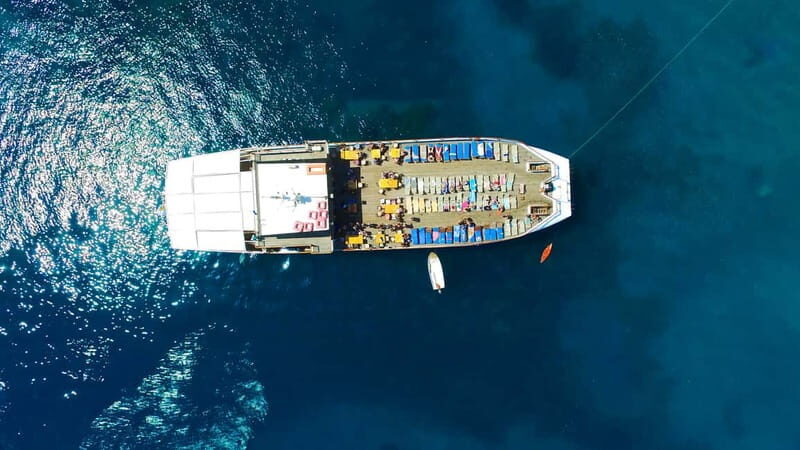 Paphos: Half-Day BBQ Cruise with Open Bar and Snorkeling - Who Should Book This Tour?