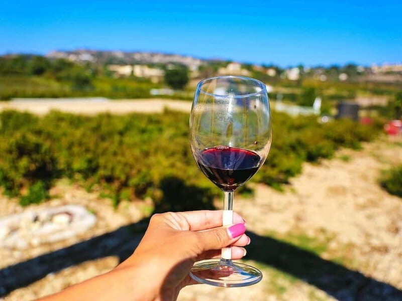 Paphos: Local Wineries Tour with Wine Tastings - Key Points