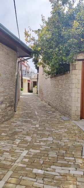 Paphos: Troodos Mountains Villages Tour with Wine Tasting - Final Thoughts: Who Will Love This Tour?