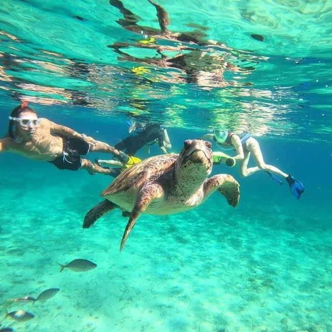 Paphos: Turtle-Watching Snorkeling Sea Scooter Trip - Final Thoughts: Is This Tour Right for You?
