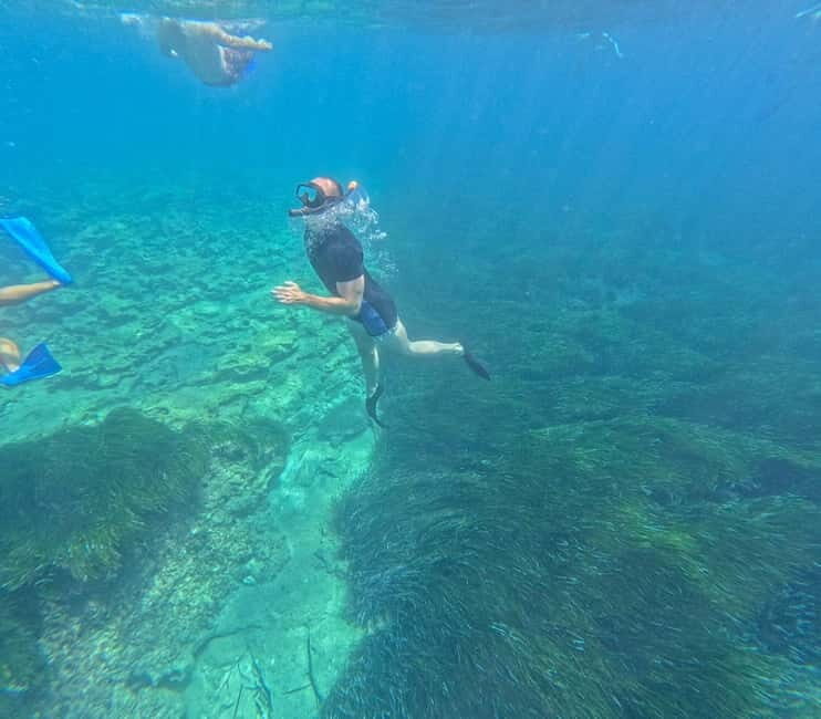Paphos: Turtle-Watching Snorkeling Sea Scooter Trip - In The Sum Up