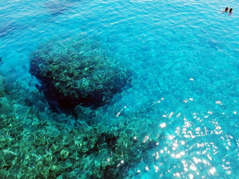 Paphos: Zoo Visit and Blue Lagoon Cruise with Guide & Lunch - Final Thoughts