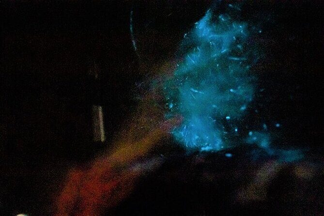 Paquera Bioluminescence Tour by Kayak - Wrapping It Up