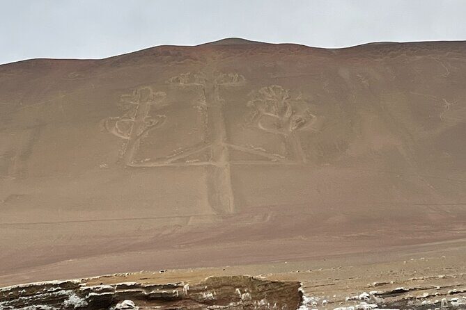 Paracas and Huacachina Sunset Picnic Tour - Who Should Consider This Tour?