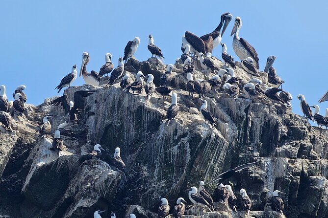 Paracas and Huacachina Sunset Picnic Tour - Final Thoughts